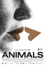 Смотреть «Животные» онлайн фильм в хорошем качестве
