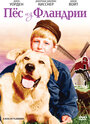 Смотреть «Пес из Фландрии» онлайн фильм в хорошем качестве