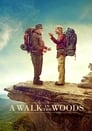 Смотреть «Прогулка по лесам» онлайн фильм в хорошем качестве