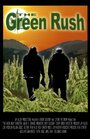 Смотреть «The Green Rush» онлайн фильм в хорошем качестве