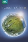 Смотреть «Планета Земля 2» онлайн сериал в хорошем качестве