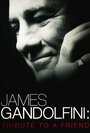 Смотреть «James Gandolfini: Tribute to a Friend» онлайн фильм в хорошем качестве