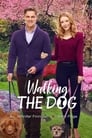Смотреть «Прогулка с собакой» онлайн фильм в хорошем качестве