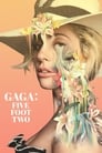 Гага: 155 см (2017) трейлер фильма в хорошем качестве 1080p