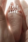 Смотреть «Древо жизни» онлайн фильм в хорошем качестве
