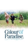 Смотреть «Цвет рая» онлайн фильм в хорошем качестве