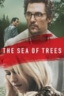 Смотреть «Море деревьев / Лес самоубийц» онлайн фильм в хорошем качестве