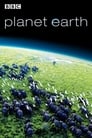 Смотреть «BBC: Планета Земля» онлайн сериал в хорошем качестве