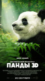 Смотреть «Панды 3D» онлайн фильм в хорошем качестве