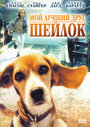 Смотреть «Мой лучший друг Шейлок» онлайн фильм в хорошем качестве