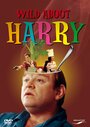 Смотреть «История о Гарри» онлайн фильм в хорошем качестве