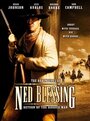 Смотреть «Нед Блессинг: История моей жизни» онлайн сериал в хорошем качестве