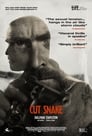 Смотреть «Раненый змей» онлайн фильм в хорошем качестве