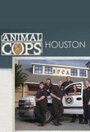 Смотреть «Полиция Хьюстона: Отдел по защите животных» онлайн сериал в хорошем качестве