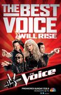 Голос Америки (2011) скачать бесплатно в хорошем качестве без регистрации и смс 1080p