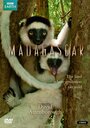 Смотреть «BBC: Мадагаскар» онлайн сериал в хорошем качестве