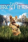 Смотреть «Два брата» онлайн фильм в хорошем качестве