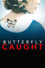 Смотреть «Поймать Бабочку» онлайн фильм в хорошем качестве