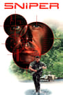 Смотреть «Снайпер» онлайн фильм в хорошем качестве