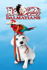 Смотреть «102 далматинца» онлайн фильм в хорошем качестве