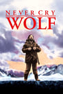 Смотреть «Не кричи «Волки!»» онлайн фильм в хорошем качестве