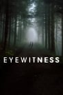 Смотреть «Свидетели» онлайн сериал в хорошем качестве