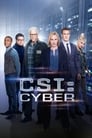 Смотреть «CSI: Киберпространство» онлайн сериал в хорошем качестве