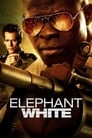 Смотреть «Белый слон» онлайн фильм в хорошем качестве