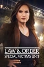 Смотреть «Закон и порядок. Специальный корпус» онлайн сериал в хорошем качестве