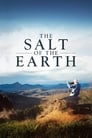 Смотреть «Соль Земли» онлайн фильм в хорошем качестве