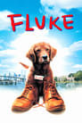 Смотреть «Флюк / Пёс по-прозвищу Счастливчик» онлайн фильм в хорошем качестве