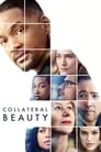 Смотреть «Призрачная красота» онлайн фильм в хорошем качестве