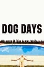 Смотреть «Собачья жара» онлайн фильм в хорошем качестве