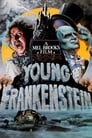 Смотреть «Молодой Франкенштейн» онлайн фильм в хорошем качестве