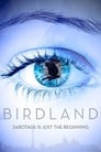 Смотреть «Земля птиц» онлайн фильм в хорошем качестве