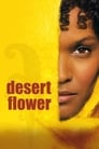 Цветок пустыни (2009) кадры фильма смотреть онлайн в хорошем качестве
